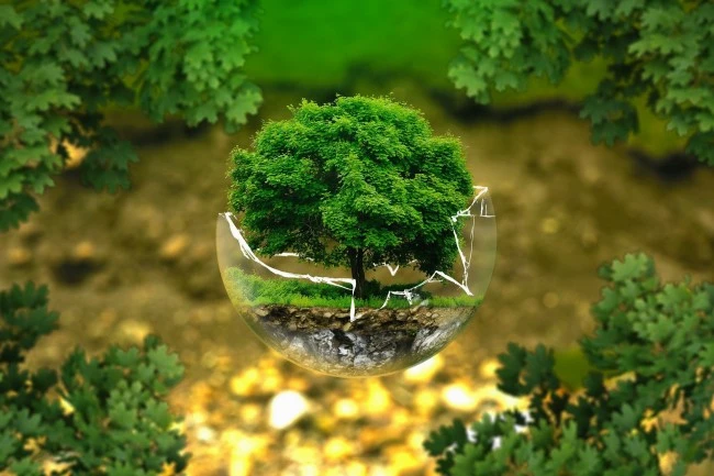How We Support Your Eco-Tech Vision
